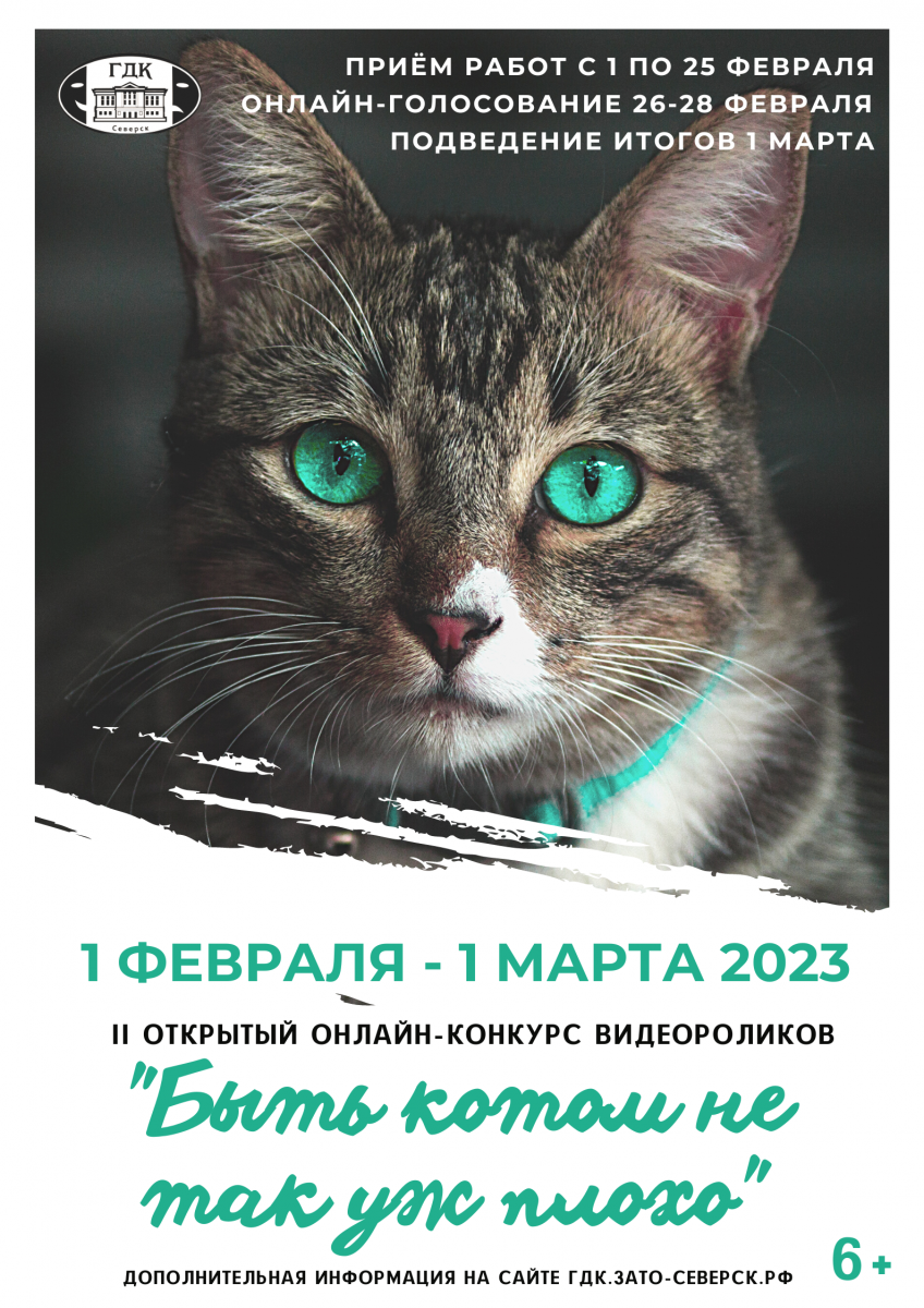 Городской дом культуры им.Н.Островского приглашает к участию в  онлайн-конкурсе видеороликов о кошках | Управление культуры Администрации  ЗАТО Северск